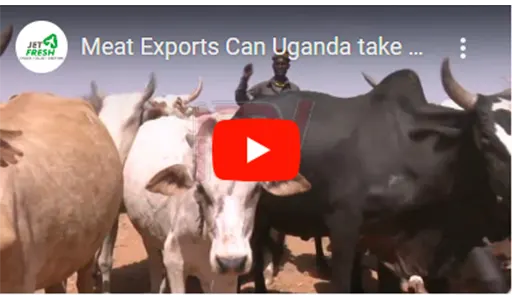 meat-export-uganda